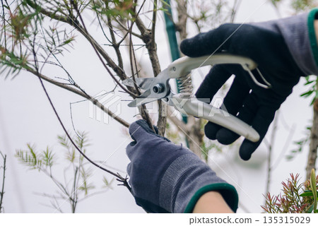園藝工作場景:修剪花園樹木 園藝工作場景:修剪花園樹木 135315029
