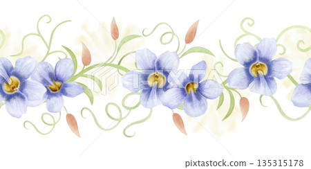 Watercolor garden vine with pastel purple flowers seamless border isolated on white. Spring tropical blossom repeat horizontal banner. Hand drawn climbing liana for summer nature floral designs Watercolor garden vine with pastel purple flowers seamless border isolated on white. Spring tropical blossom repeat horizontal banner. Hand drawn climbing liana for summer nature floral designs 135315178