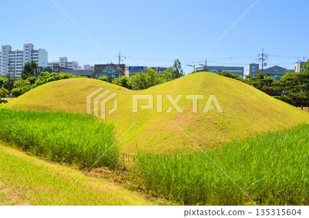 Keyhole-shaped tomb in Gwangju, South Korea 135315604