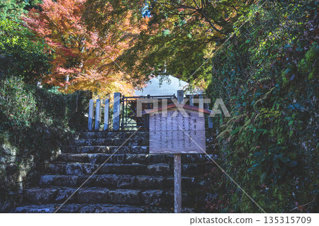 Nov 23 2025 Peaceful Oharashorincho Village in Rural Kyoto Japan 135315709