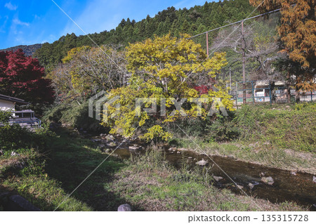 Nov 23 2025 Scenic Ohara Countryside Landscape in Rural Kyoto 135315728