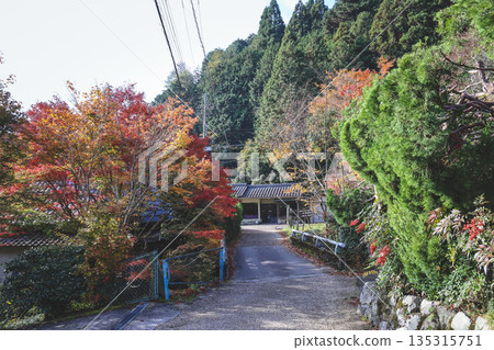 Nov 23 2025 Scenic Ohara Countryside Landscape in Rural Kyoto 135315751