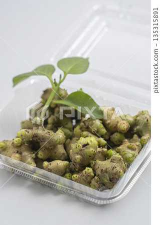 Okawakame (Yunnan Baiyaku) corms (Ziyouzi) 135315891