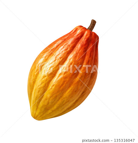 巧克力可可豆莢的逼真插圖 135316047