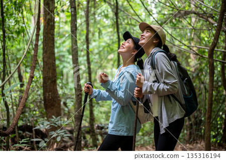 Asian tourist woman friend couple standing holding trekking cane looking up while hiking in forest Asian tourist woman friend couple standing holding trekking cane looking up while hiking in forest 135316194