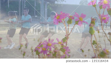 Three children pulling rope in tug-of-war at local playground, with tire swings and flower overlay Three children pulling rope in tug-of-war at local playground, with tire swings and flower overlay 135316434