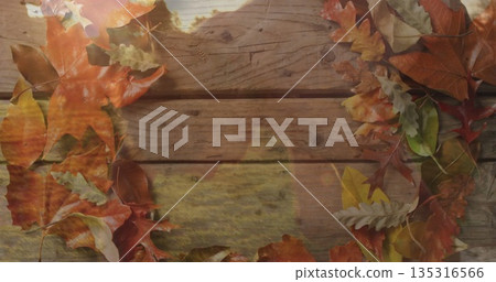 Framing rustic wooden plank surface on tabletop, creating fall scene with oak and maple leaves 135316566