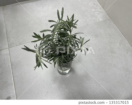 lavender in vase on the gray background 135317015