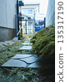 一條由苔蘚和石頭鋪成的步道 135317190