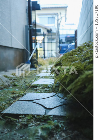 一條由苔蘚和石頭鋪成的步道 135317190