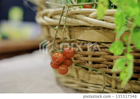 籃子裡掛著的櫻桃番茄 135317348