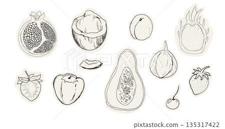 Fruit doodle sketch hand drawn set tropical and garden fruits and berries. Decorative vector elements for poster, placard, greeting card, menu or wedding invitation 135317422