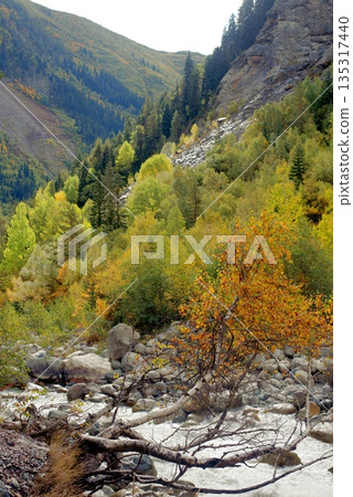 Trekking through the valley to the Chalaadi Glacier in the Caucasus Mountains in autumn. Mestia, Georgia 135317440