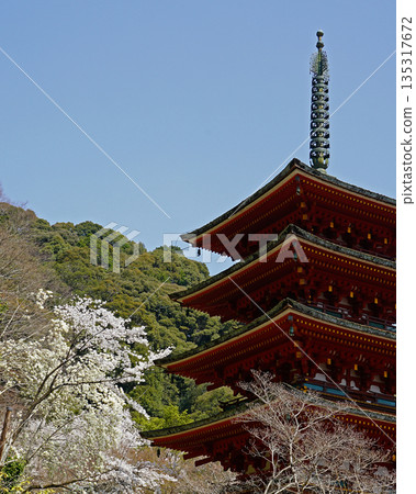 Hase-ji Temple櫻花奈良縣 Hase-ji Temple櫻花奈良縣 135317672