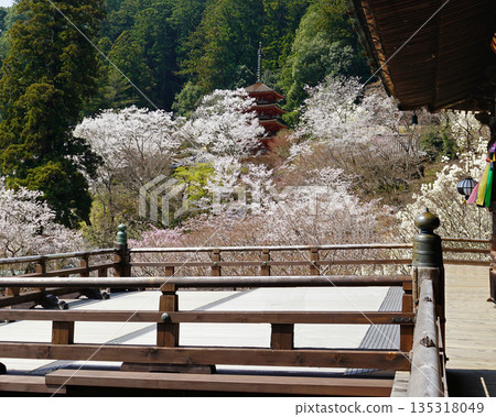 Hase-ji Temple櫻花奈良縣 135318049