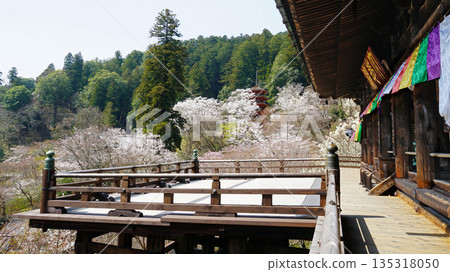 Hase-ji Temple櫻花奈良縣 Hase-ji Temple櫻花奈良縣 135318050