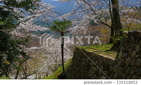 Hase-ji Temple櫻花奈良縣 Hase-ji Temple櫻花奈良縣 135318052
