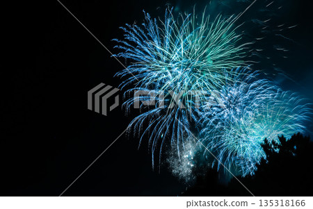 夜空中綻放的煙火（藍色和綠色） 135318166