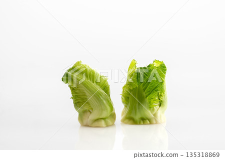 芽馬鈴薯 135318869