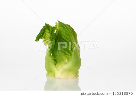 芽馬鈴薯 135318870