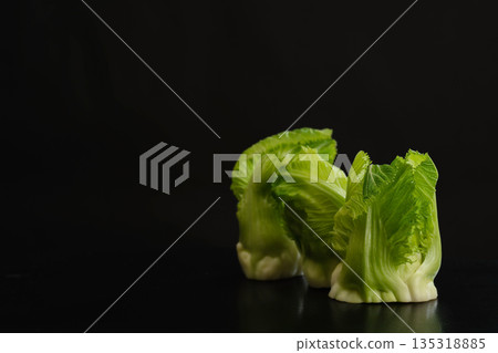 芽馬鈴薯 135318885