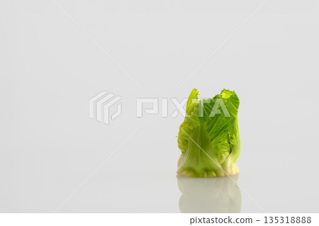 芽馬鈴薯 135318888