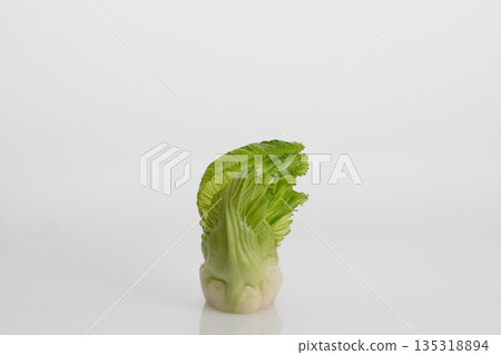 芽馬鈴薯 135318894