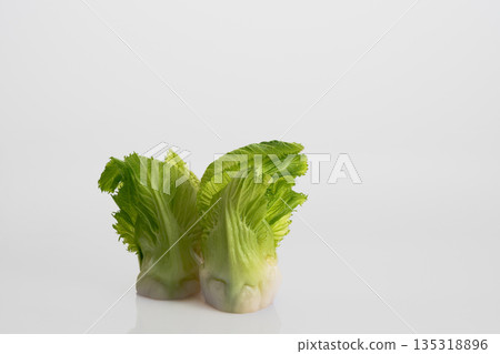 Bud potato 135318896