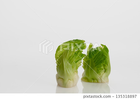 芽馬鈴薯 芽馬鈴薯 135318897