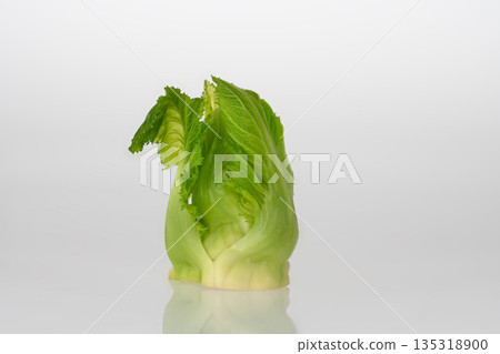 芽馬鈴薯 芽馬鈴薯 135318900