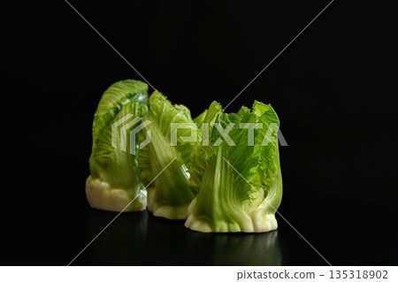 芽馬鈴薯 芽馬鈴薯 135318902