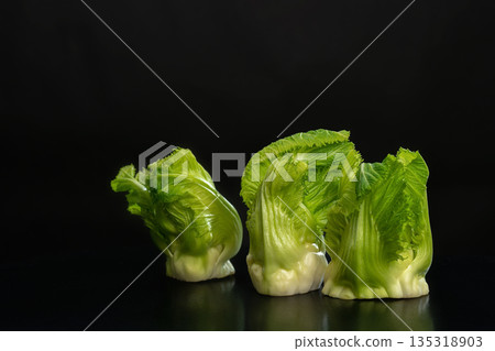 芽馬鈴薯 135318903