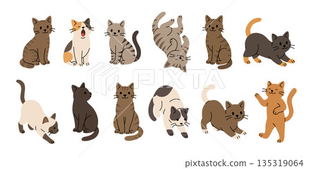 Set of cartoon cats in simple poses. Flat vector illustration of adorable felines for pet and children themes Set of cartoon cats in simple poses. Flat vector illustration of adorable felines for pet and children themes 135319064