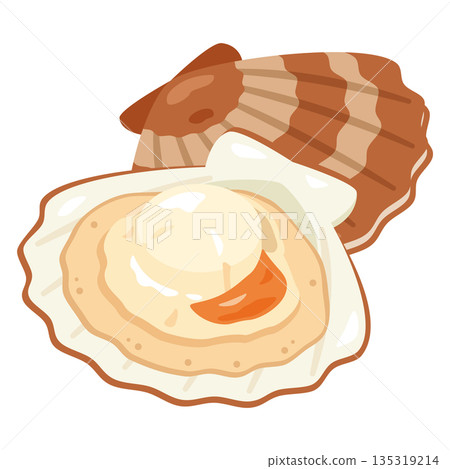 Illustration of a scallop in its shell Illustration of a scallop in its shell 135319214