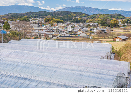奈良縣飛鳥村的鄉村景色 135319331