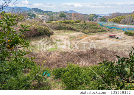 奈良縣飛鳥村的山田風景 135319332
