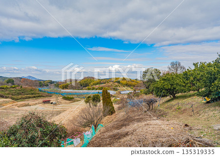 奈良縣飛鳥村的山田風景 135319335