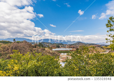 奈良縣飛鳥村的冬季景色 奈良縣飛鳥村的冬季景色 135319348