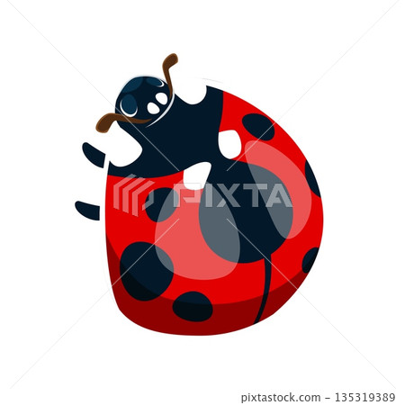 Ladybug insect font typeset cartoon letter D. Spring ladybird typeface letter, cute insect cartoon font vector sign. Red lady bug type symbol or garden ladybug beetle kids ABC typeset element 135319389