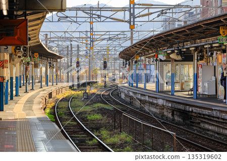 Empty railway station platform with double-track railroad railway or train tracks in suburb train station, perspective view. Travel and transportation concept. 135319602