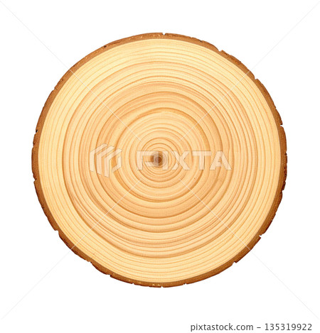Cross section of a log with beautiful annual rings and a tree stump on a white background Cross section of a log with beautiful annual rings and a tree stump on a white background 135319922