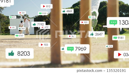 Holding bat, batsman in white uniform standing by stumps on cricket pitch, with icons, copy space 135320191