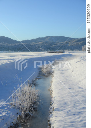 [Winter] Himekawa River near its source [Hakuba Village, Kitaazumi District] 135320609