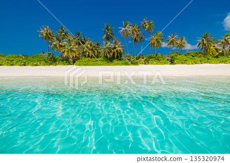 Tropical island beach paradise sunny summer vacation landscape 135320974