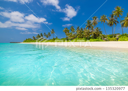 Tropical island beach paradise sunny summer vacation landscape 135320977