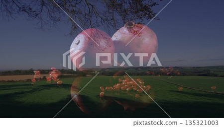 Hovering two translucent red fruits above pasture under bare branches scattering small berries 135321003