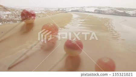 Standing five pink cream cake pops reflecting on coastal sand at low tide, with snow hills Standing five pink cream cake pops reflecting on coastal sand at low tide, with snow hills 135321021
