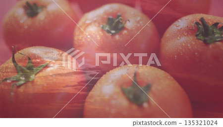 Displaying cluster of green-stemmed red tomatoes glistening with water droplets on red surface 135321024