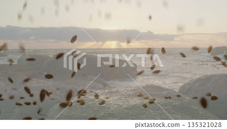 Rising jagged rock formation standing out at coast under golden sun rays, with drifting brown seeds Rising jagged rock formation standing out at coast under golden sun rays, with drifting brown seeds 135321028