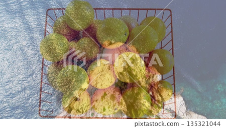 Displaying red wire grid basket holding green apples above rocky outcrop by clear turquoise sea 135321044